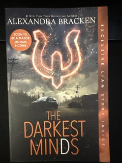 The darkest minds